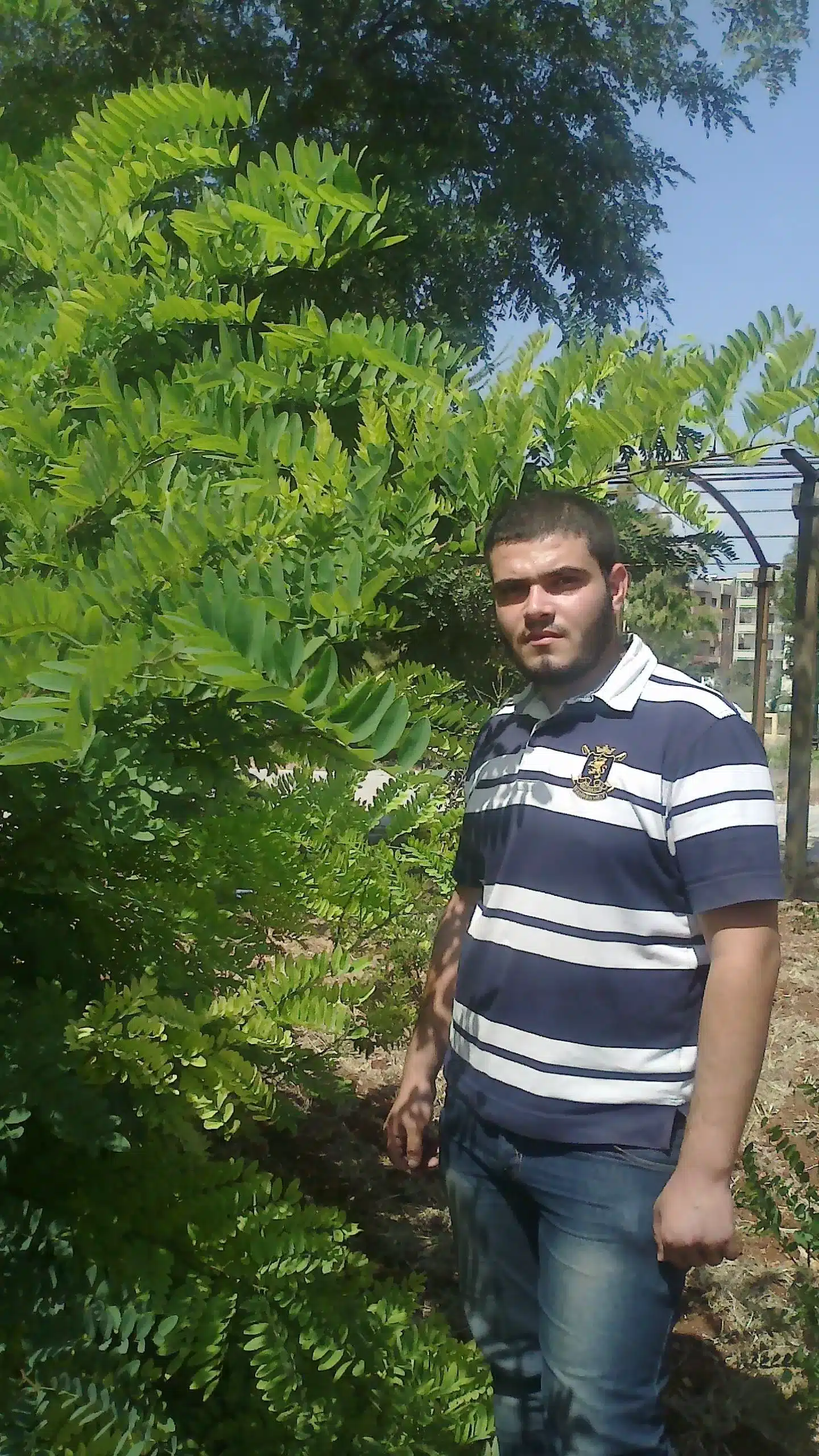 أحمد المنصوري